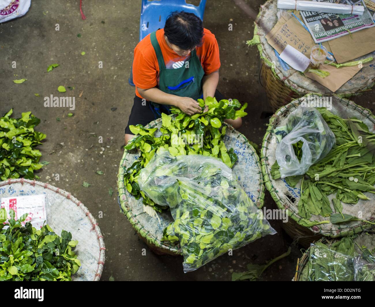Aug. 23, 2013 - Bangkok, Thailand - A vendor sorts Kaffir lime leaves (Citrus hystrix DC., Rutaceae), also known as kieffer lime, makrut, or magrood in Pak Khlong Talad in Bangkok. Thailand entered a Ã¢??technicalÃ¢?Â recession this month after the economy shrank by 0.3% in the second quarter of the year. The 0.3% contraction in gross domestic product between April and June followed a previous fall of 1.7% during the first quarter of 2013. The contraction is being blamed on a drop in demand for exports, a drop in domestic demand and a loss of consumer confidence. At the same time, the value o Stock Photo