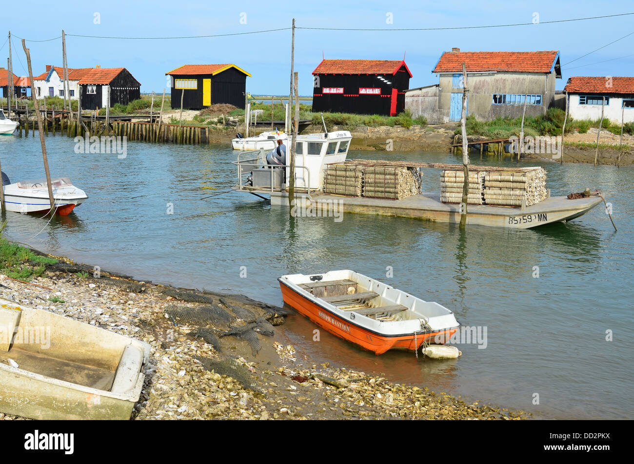 Ostriecole hires stock photography and images Alamy