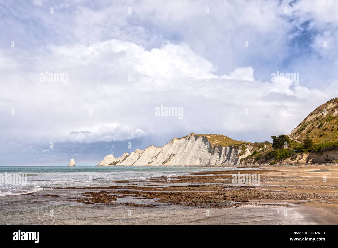 Beach at Cape Kidnappers, Hawke's Bay, New Zealand, famous for its gannet colony. Stock Photo