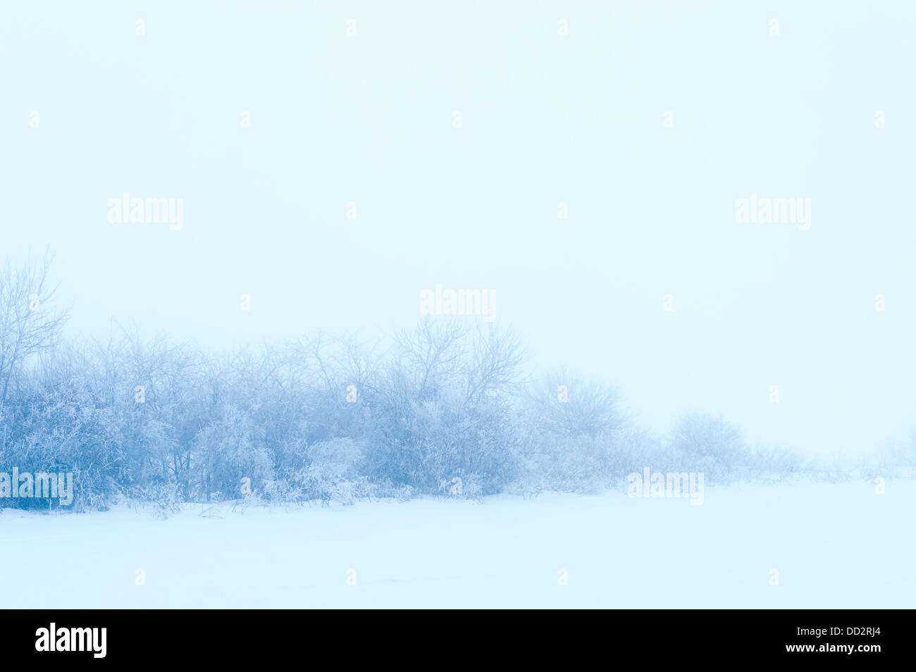 White fog blue background cold hi-res stock photography and images - Alamy