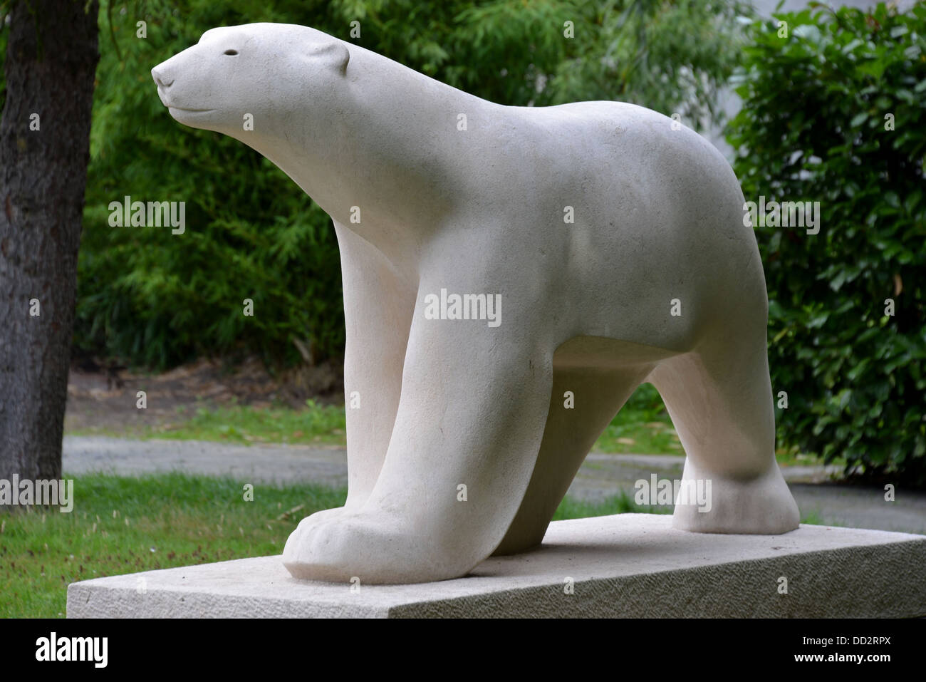 A white bear Stock Photo Alamy
