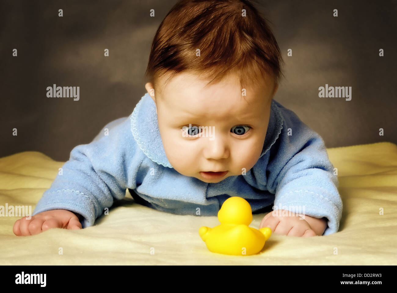 A child with surprise considers a toy duck. Stock Photo