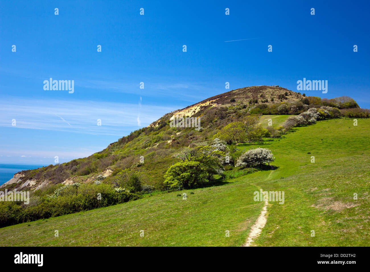 The SW Coastal Path Below Golden Cap Near Seatown In Dorset England 