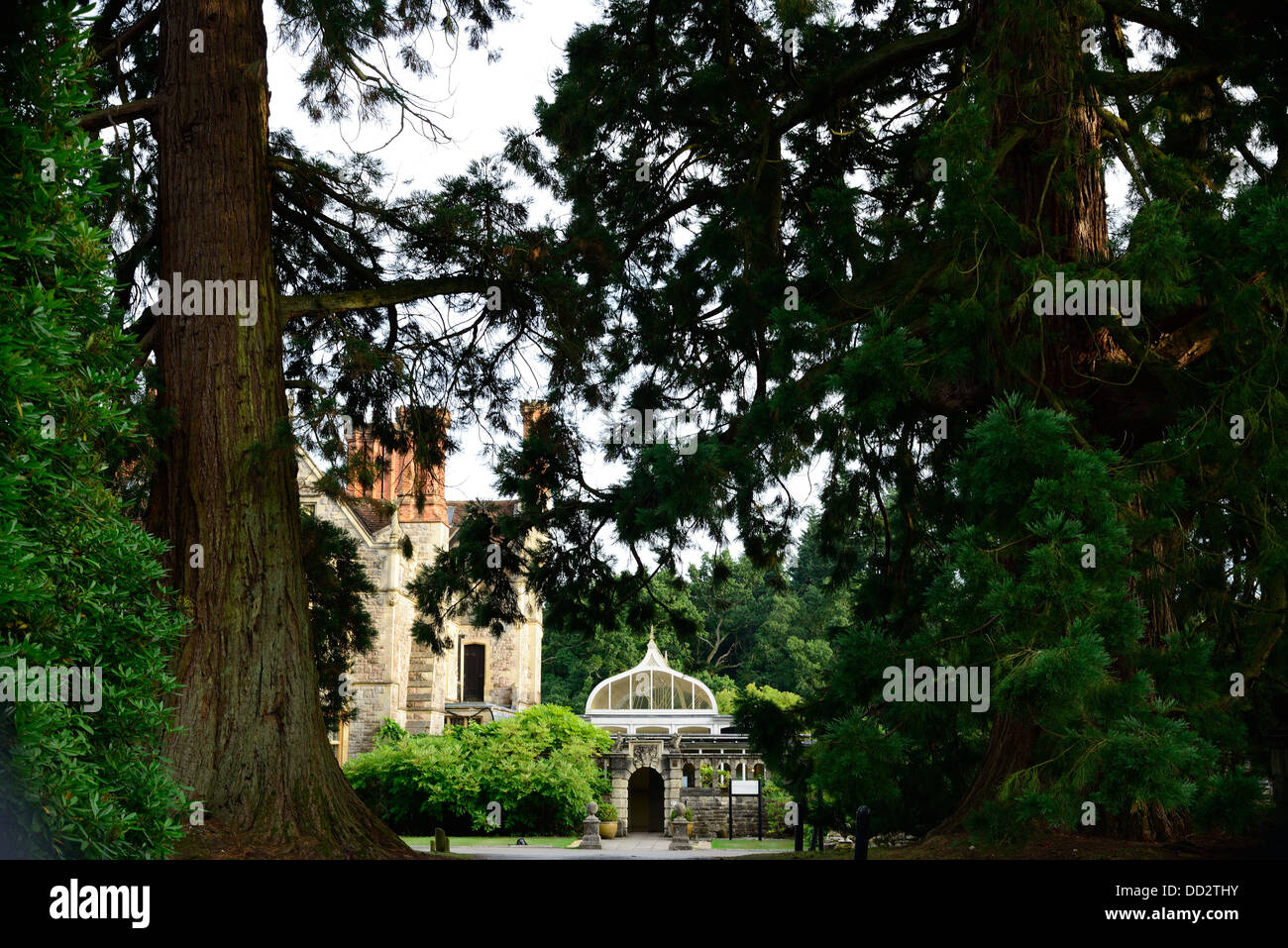 View through the trees looking at a country house Stock Photo