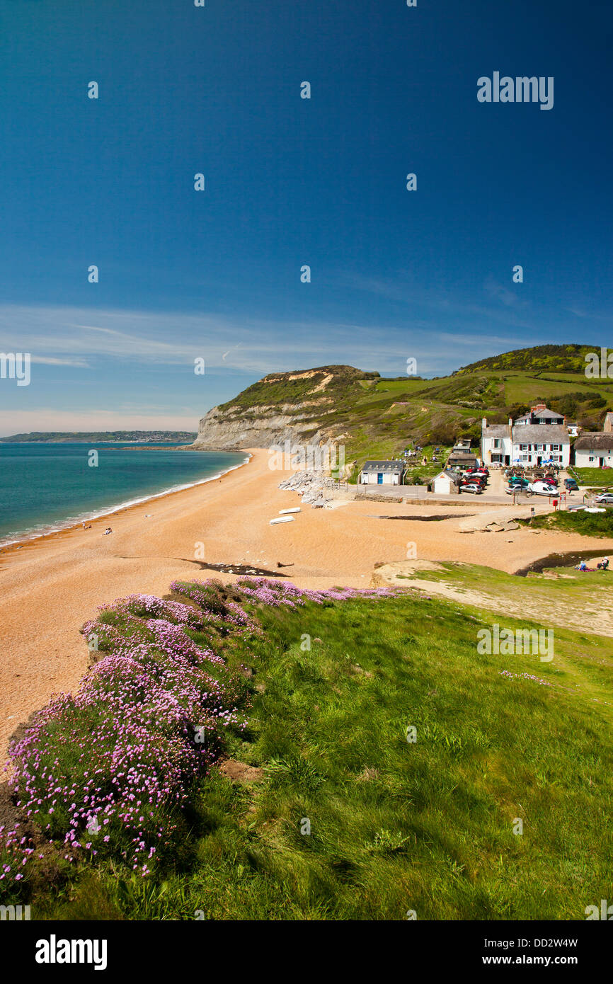 Looking west from Seatown beach towards the Anchor Inn and Golden Cap