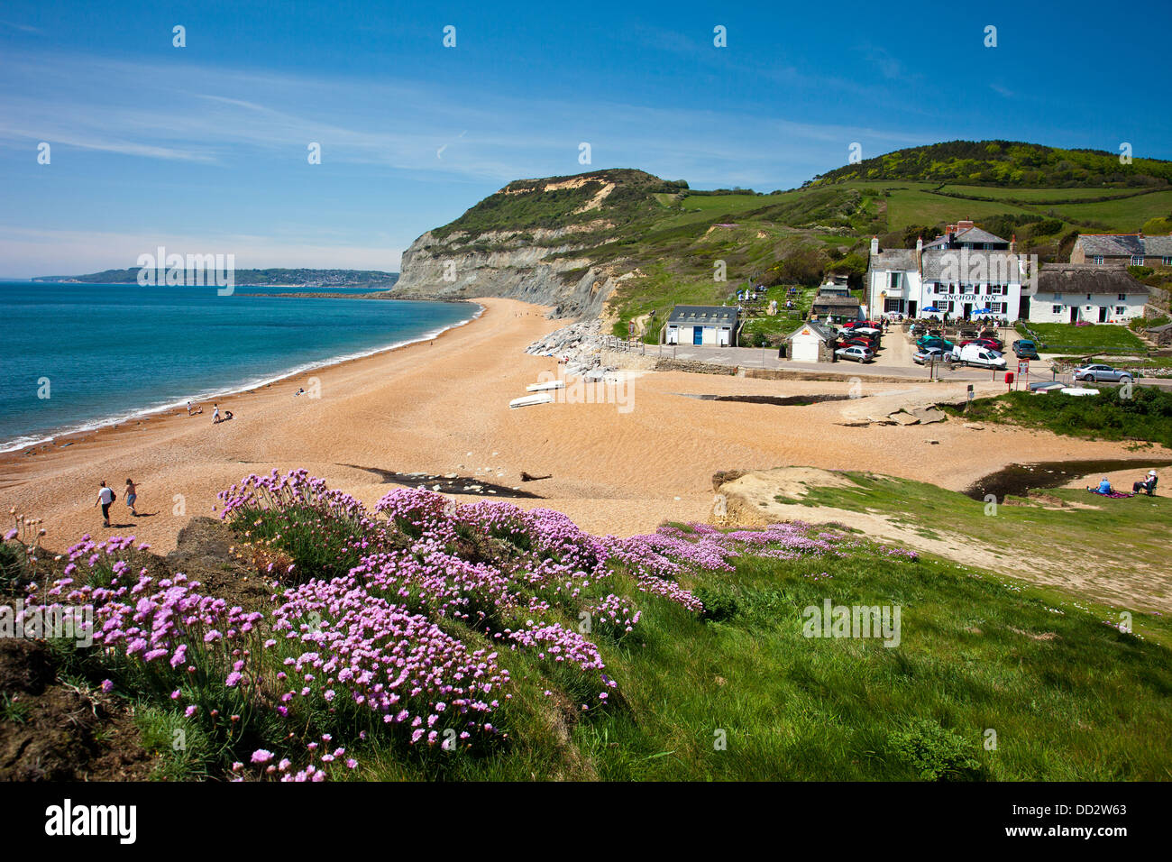 The anchor inn dorset hires stock photography and images Alamy