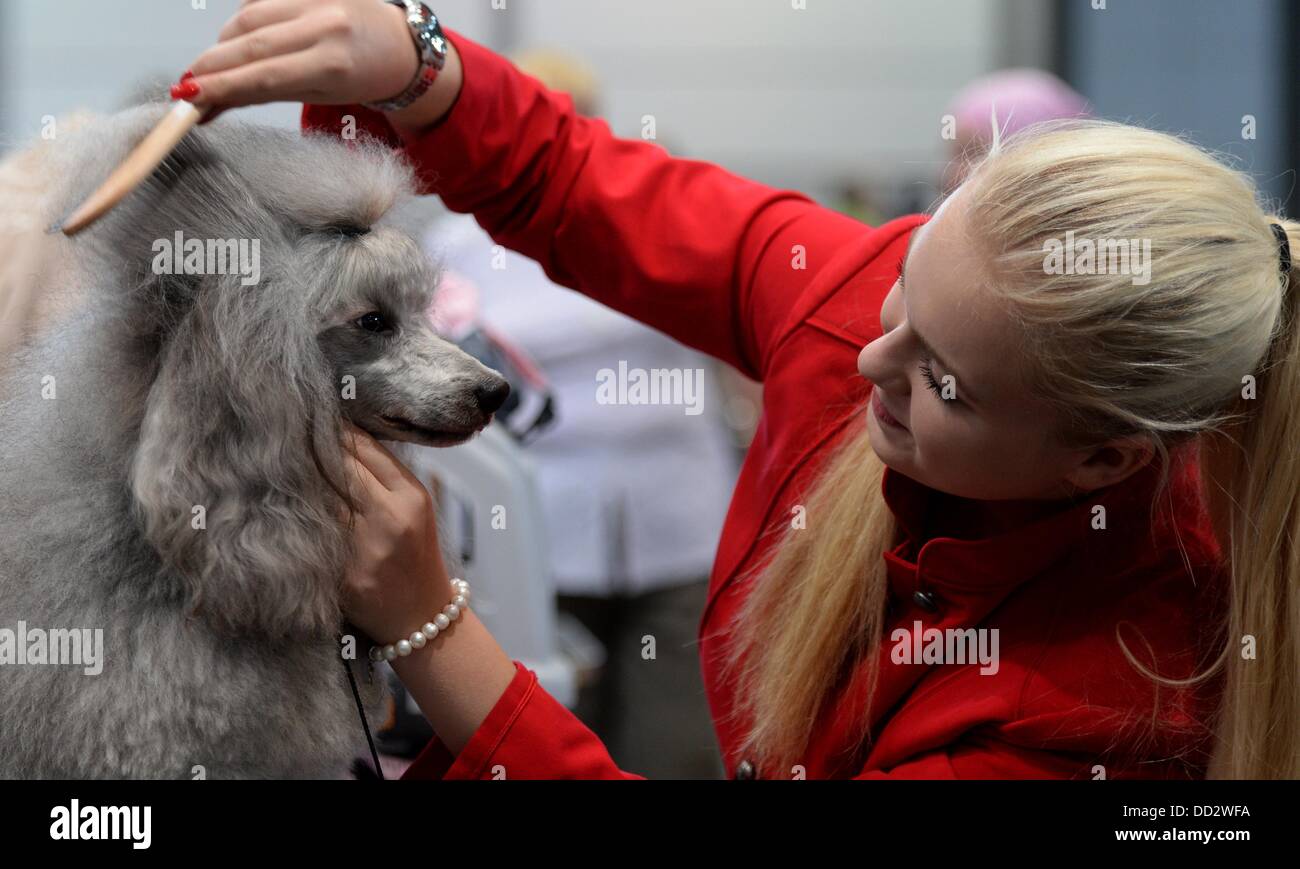 Eva schmidt hires stock photography and images Alamy