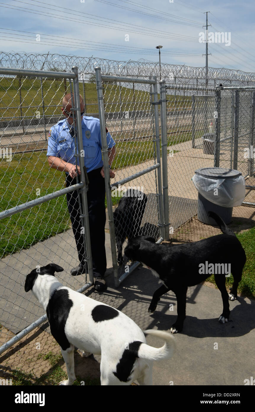 Prison officer working kennel area. Inmates train shelter dogs that are then put up for adoption to the public. Stock Photo