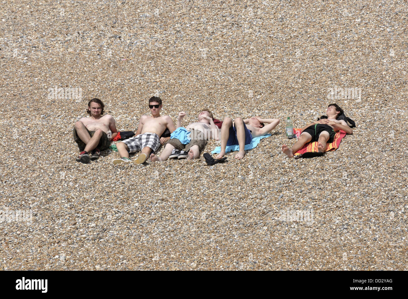 Five males sunbathing on Eastbourne beach Stock Photo Alamy
