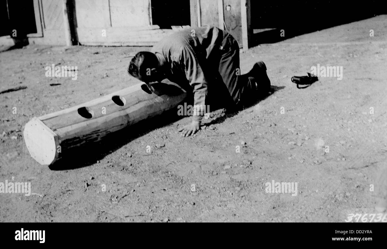 Snowshoe Hare Damage on Black Spruce 2128304 Stock Photo Alamy