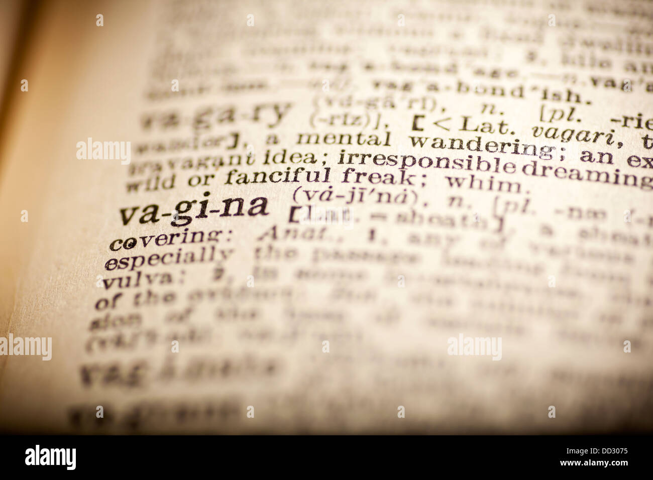 Vigina Dictionary word vigina Stock Photo - Alamy