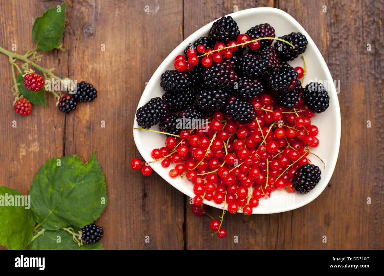 Bowl with redcurrant and blackberries Stock Photo