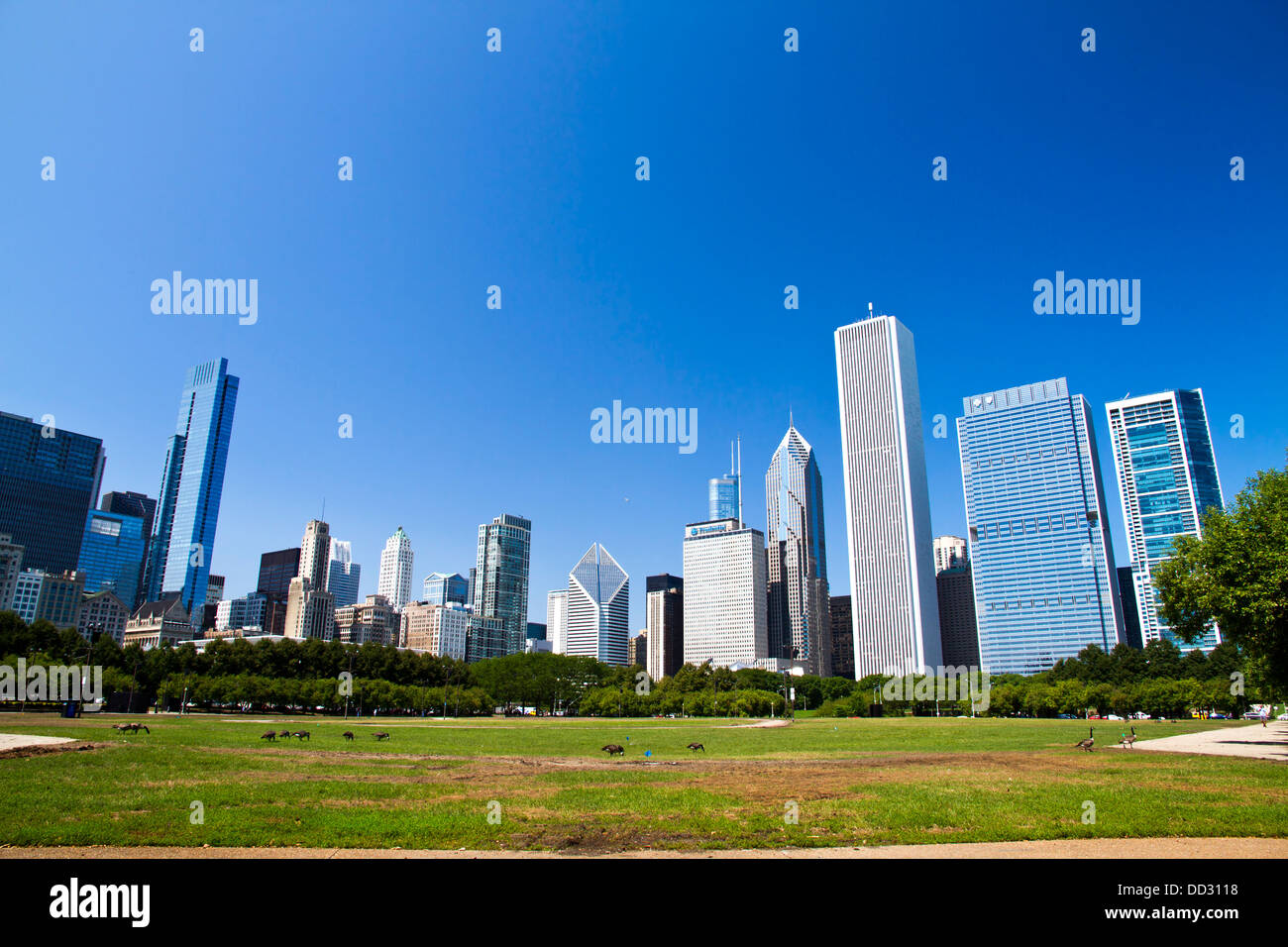Chicago IL skyline from Grant park Stock Photo