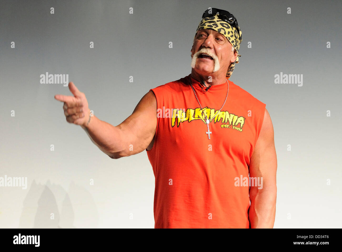 Hulk hogan hires stock photography and images Alamy