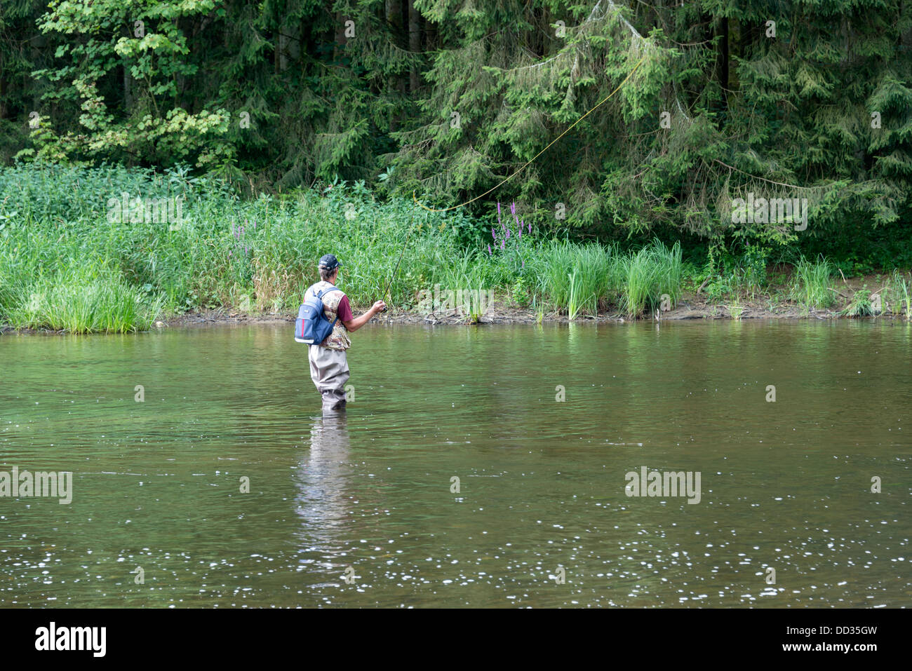 man busy with flyfishing in the belgium river semois Stock Photo