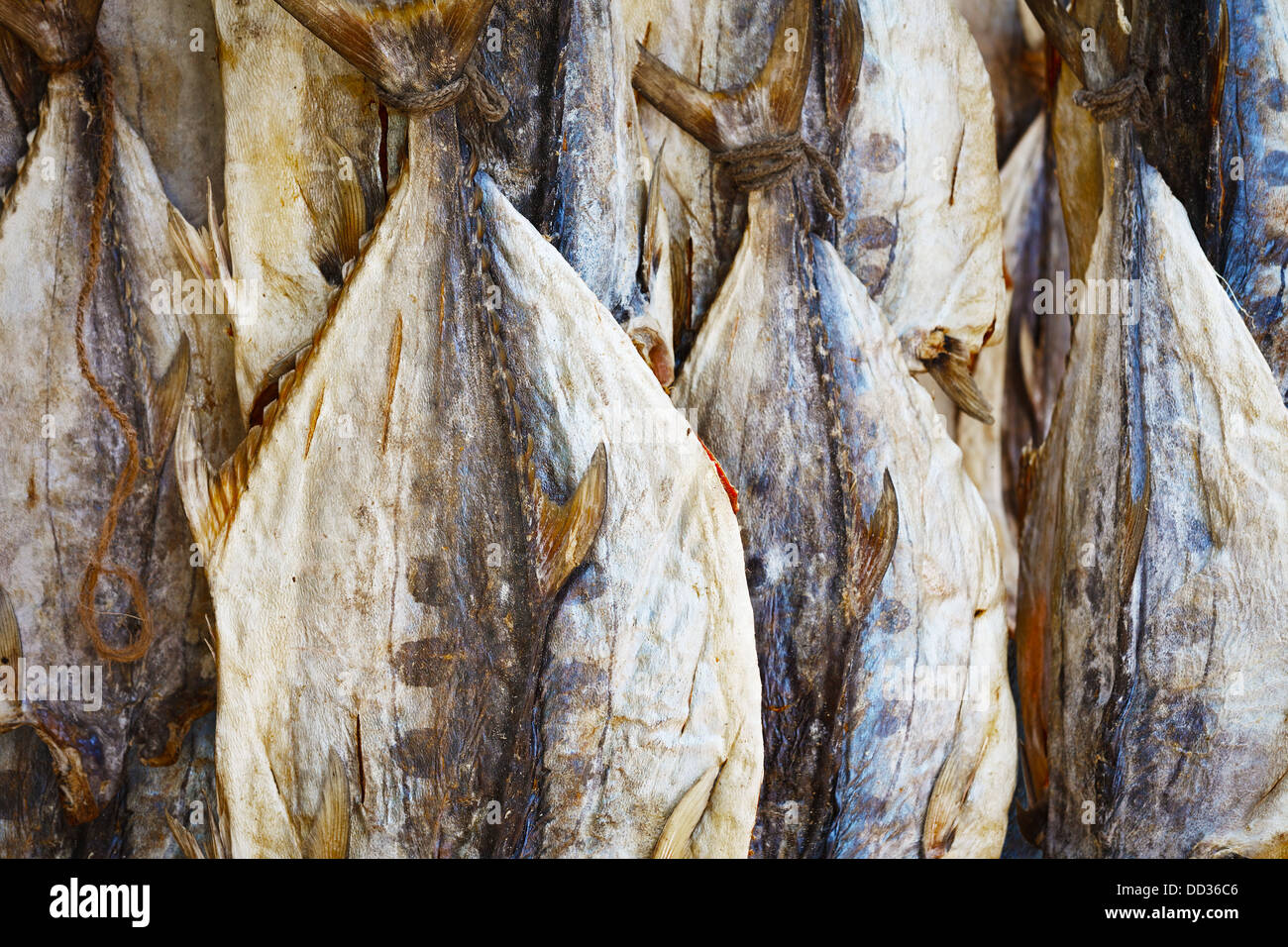 Dried salted tuna on the market in Sri Lanka Stock Photo Alamy
