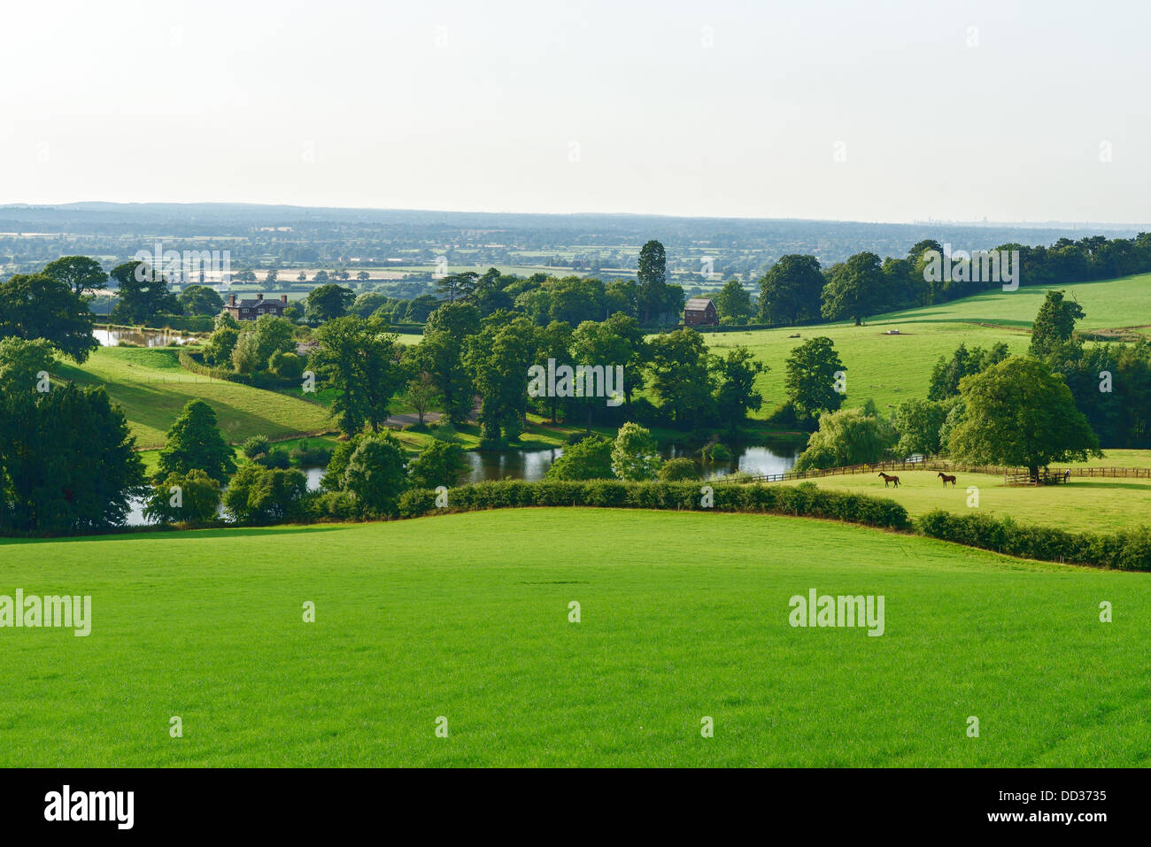 Cheshire rolling countryside in summer Stock Photo
