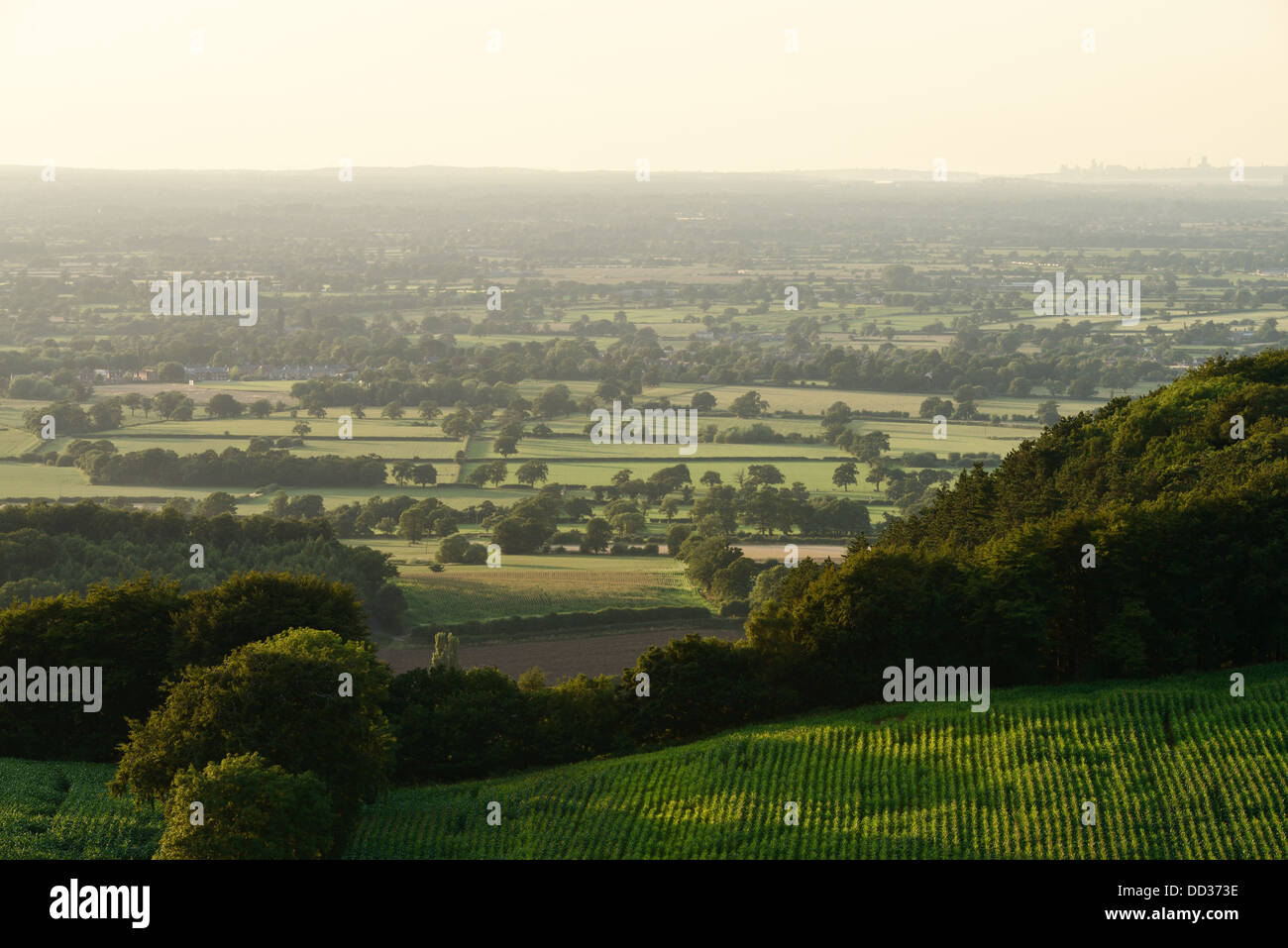 Evening light across Cheshire fields UK Stock Photo