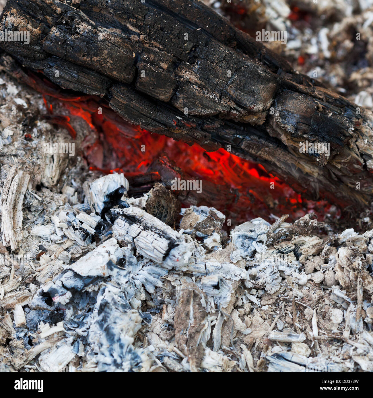 Burned charcoal and ash from fire Stock Photo Alamy