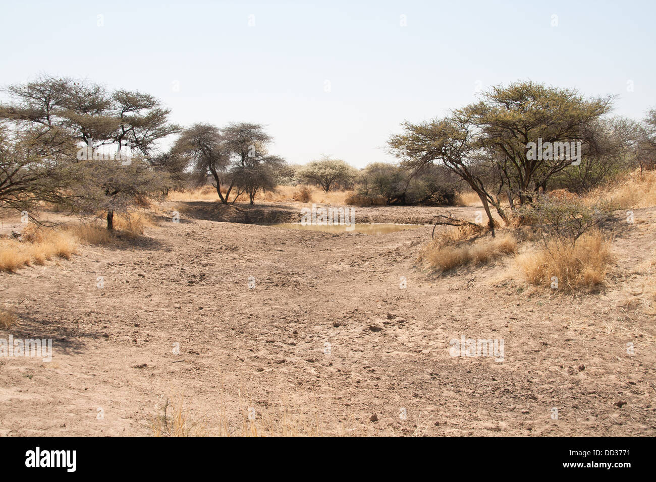 Africa waterhole hi-res stock photography and images - Alamy