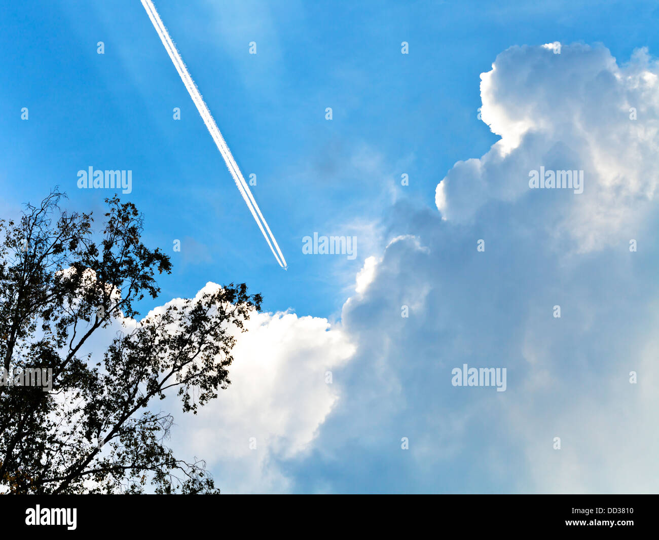 trace of air plane in blue sky in summer evening Stock Photo