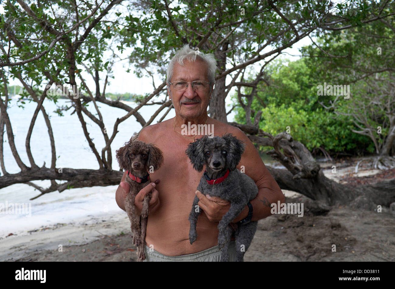 Are Dogs Allowed At Hog Island
