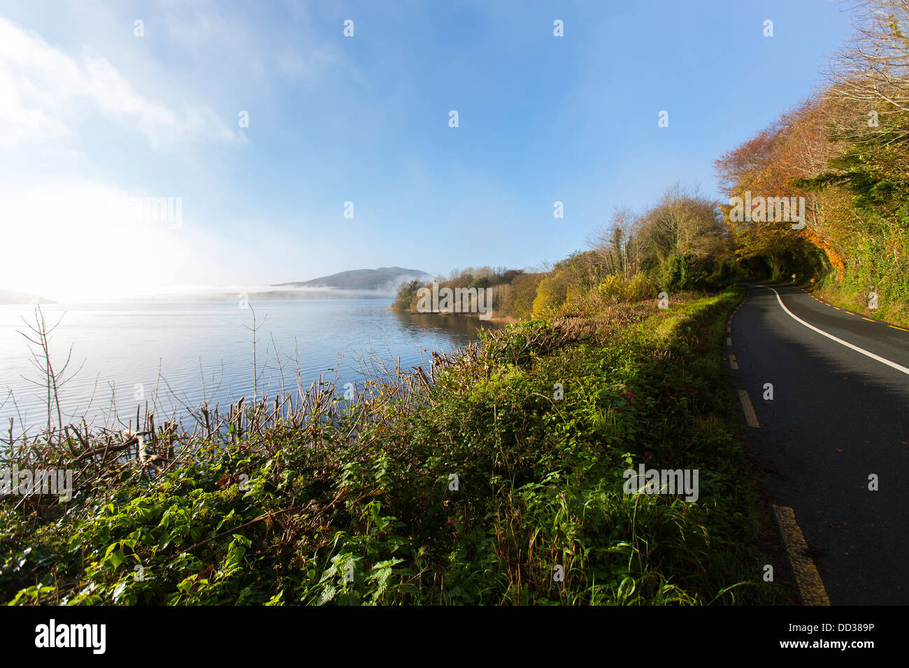 A road borders Lough Gill, made famous by W.B.Yeats poem, Innisfree in County Sligo, Northern Ireland Stock Photo