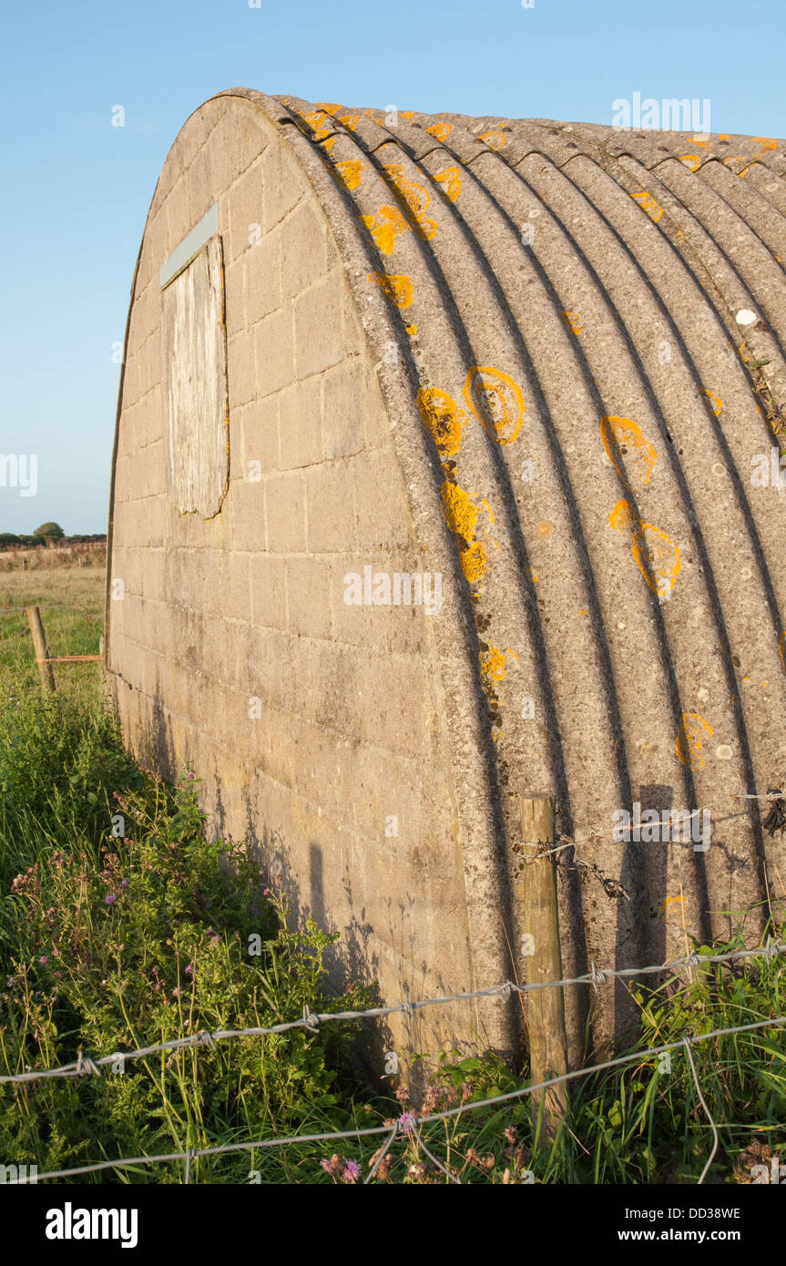 Nissen hut type farm outbuilding with lichen covered corrugated asbestos roof Stock Photo