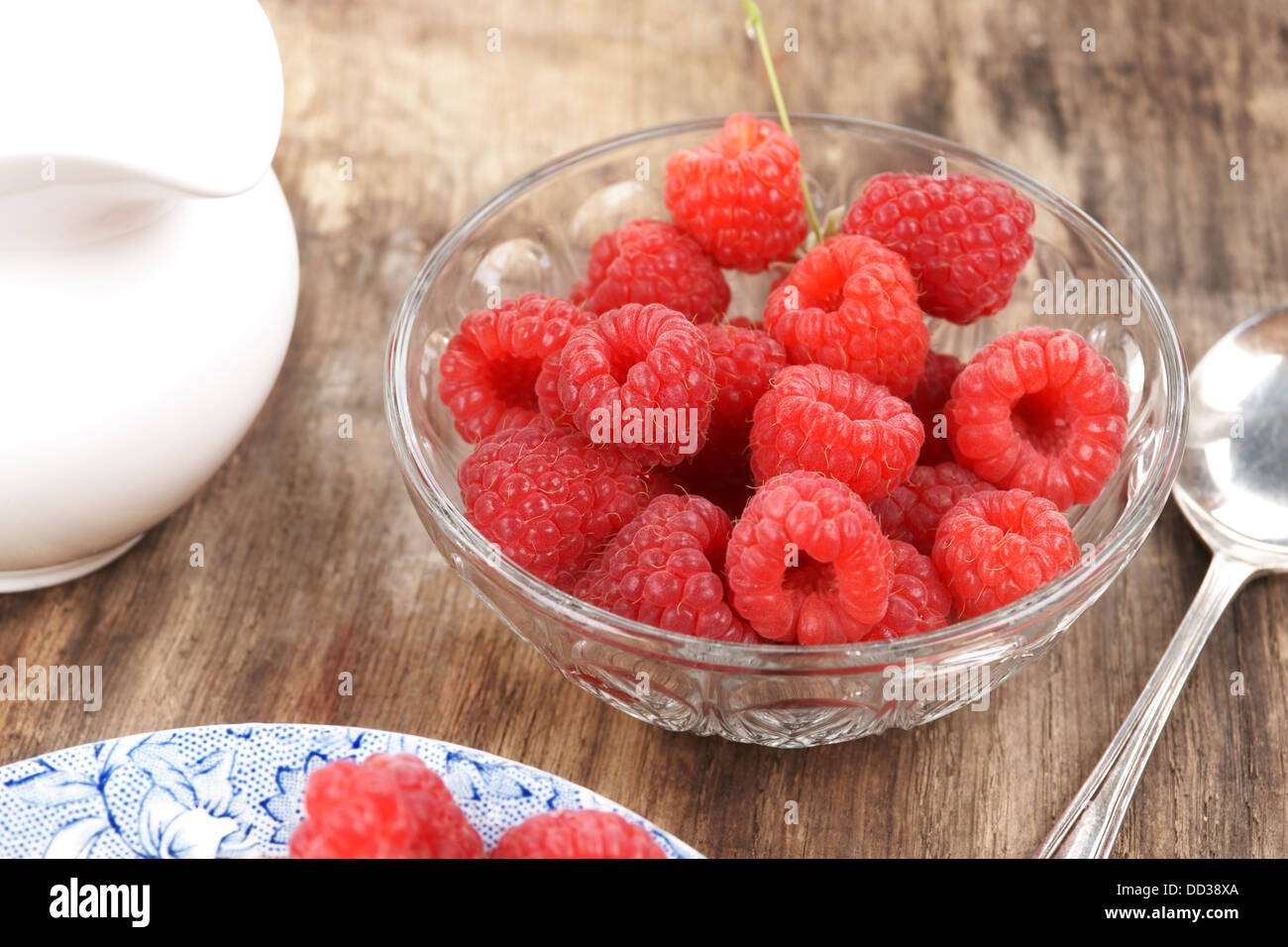 Fresh raspberries just picked in a glass bowl with a jug of fresh cream Stock Photo