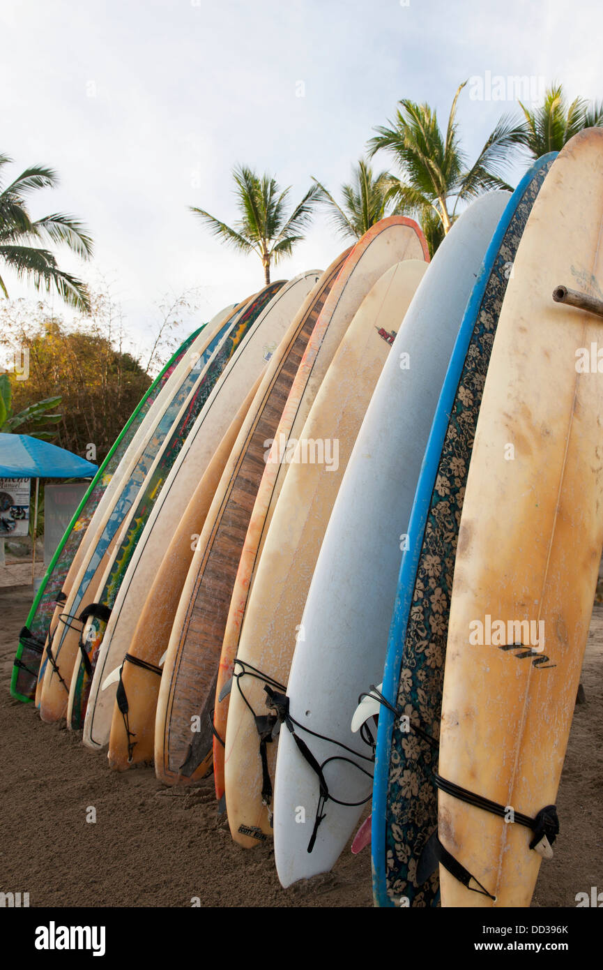 Surfboards Standing Up Against A Rack On The Beach; Sayulita, Mexico