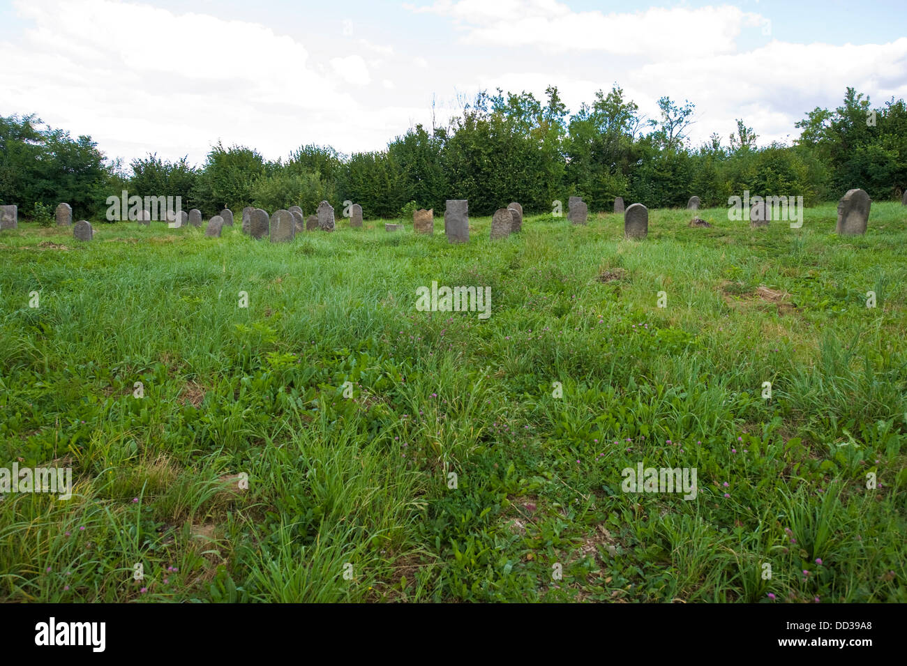 Jewish cemetery in Bodzentyn, south-central Poland. Stock Photo