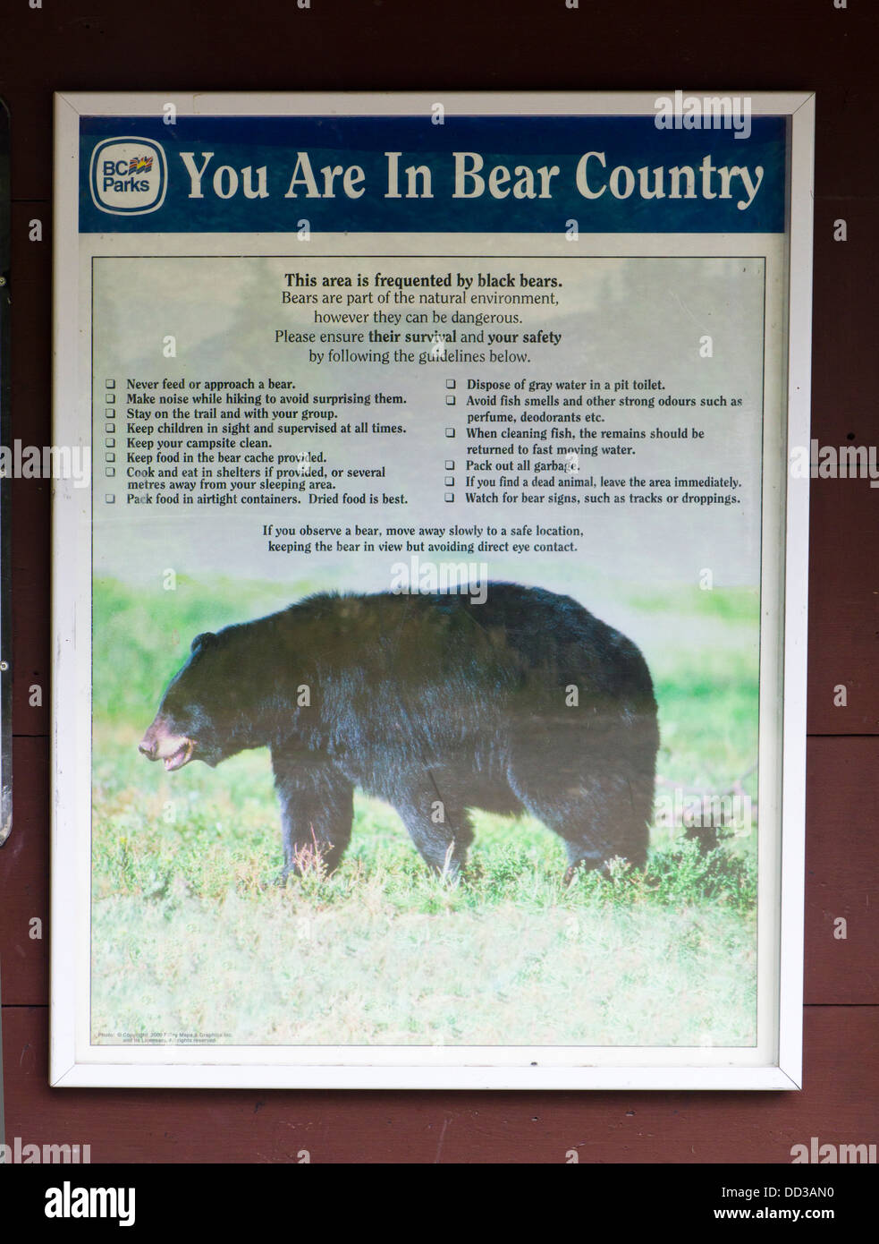 Are Dogs Allowed In Canadian Provincial Parks