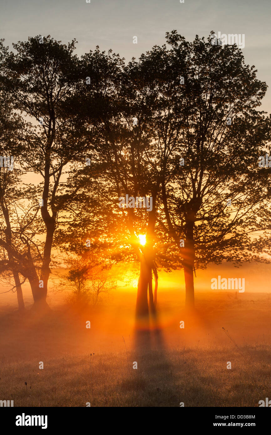Lighting golden glow hi-res stock photography and images - Alamy