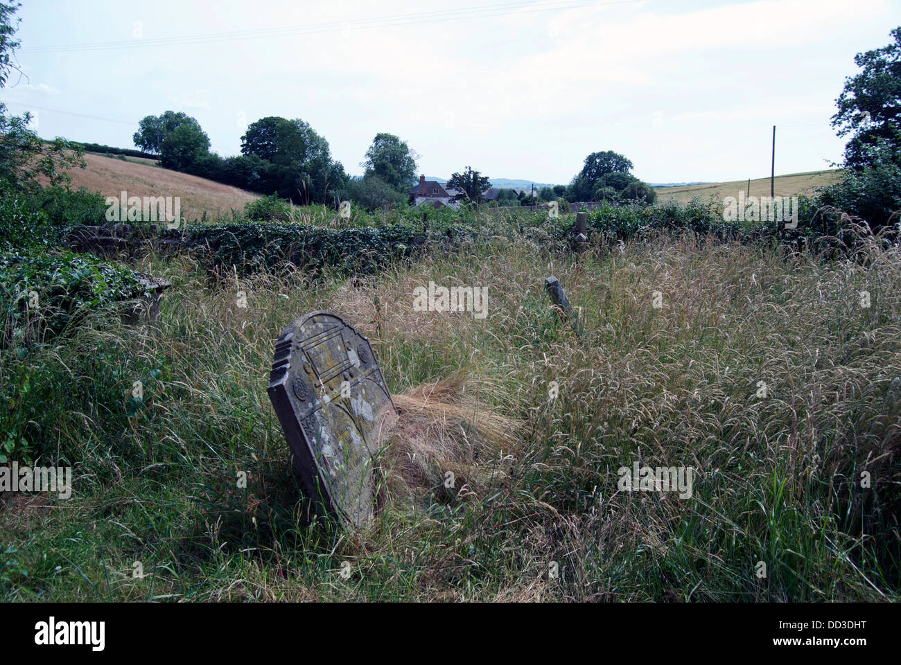 A view of overgrown gravestones at Michaelchurch in Herefordshire Stock Photo
