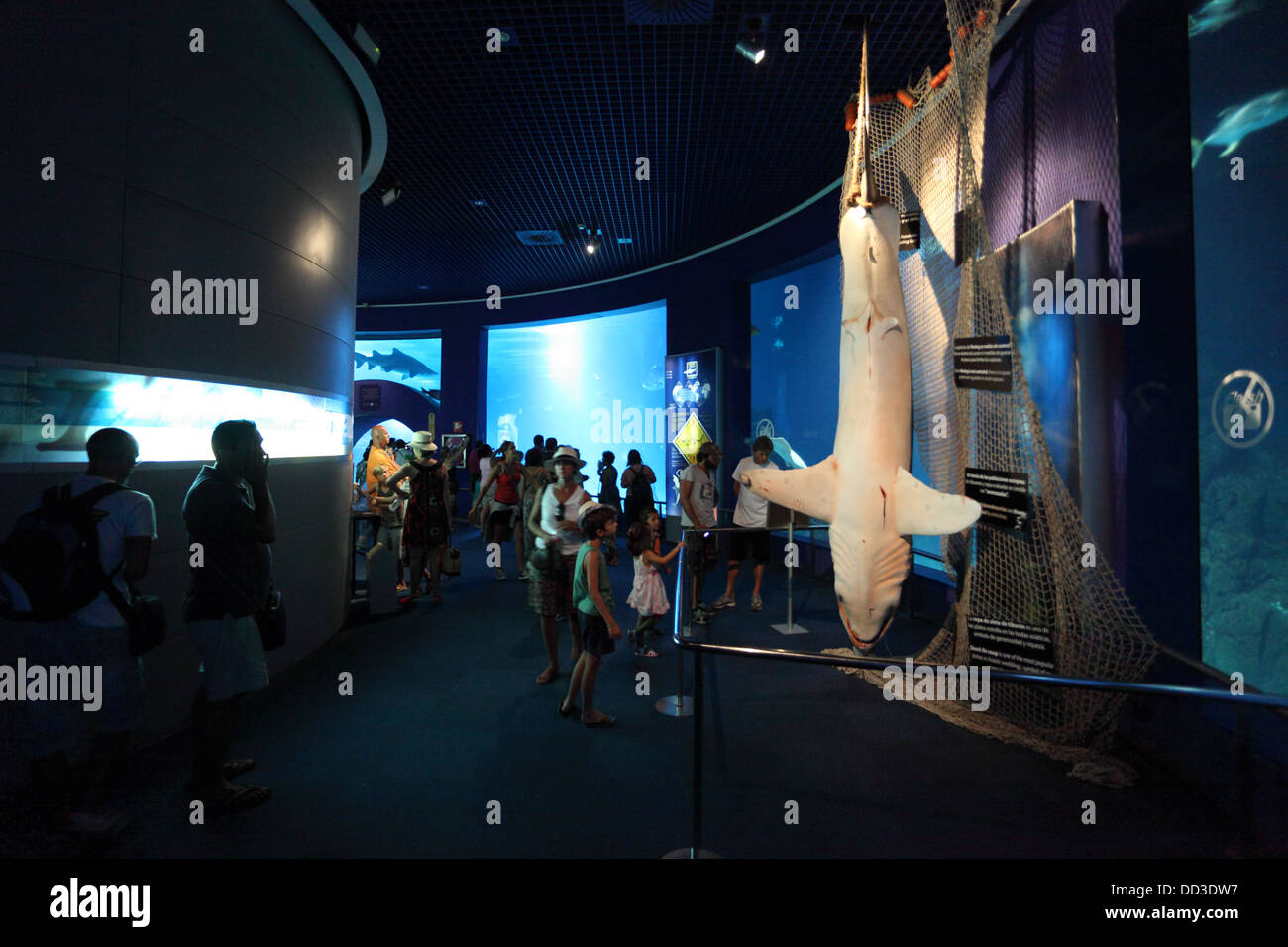 Inside of the L'Oceanografic aquarium in Valencia, Spain Stock Photo