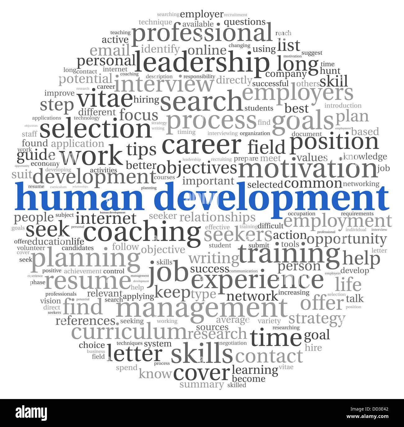 Human development concept in tag cloud on white background Stock Photo ...