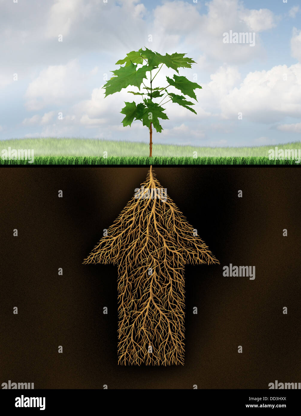 Root of success as a growth business concept with a new sprouting tree emerging from underground roots shaped as an arrow that is going up as a financial symbol of future investment potential. Stock Photo