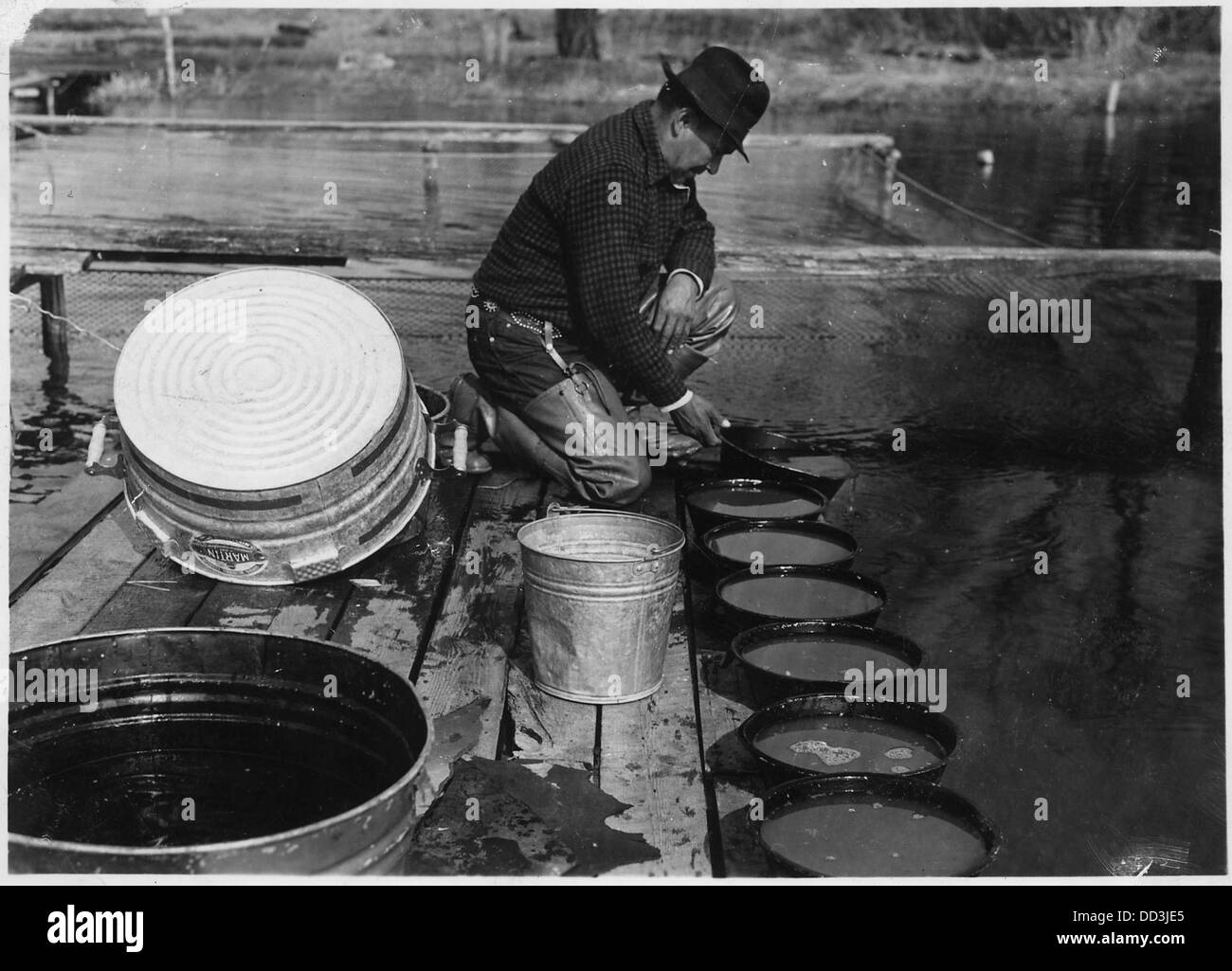 A photograph showing the washing process of fish eggs, a step in fish ...