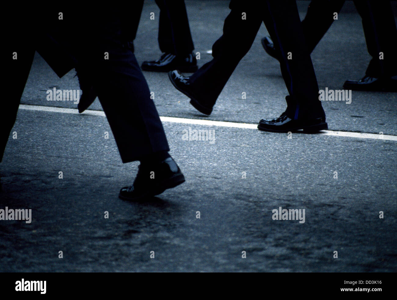 Many black colored legs and shoes marching on a street with a white line. Stock Photo