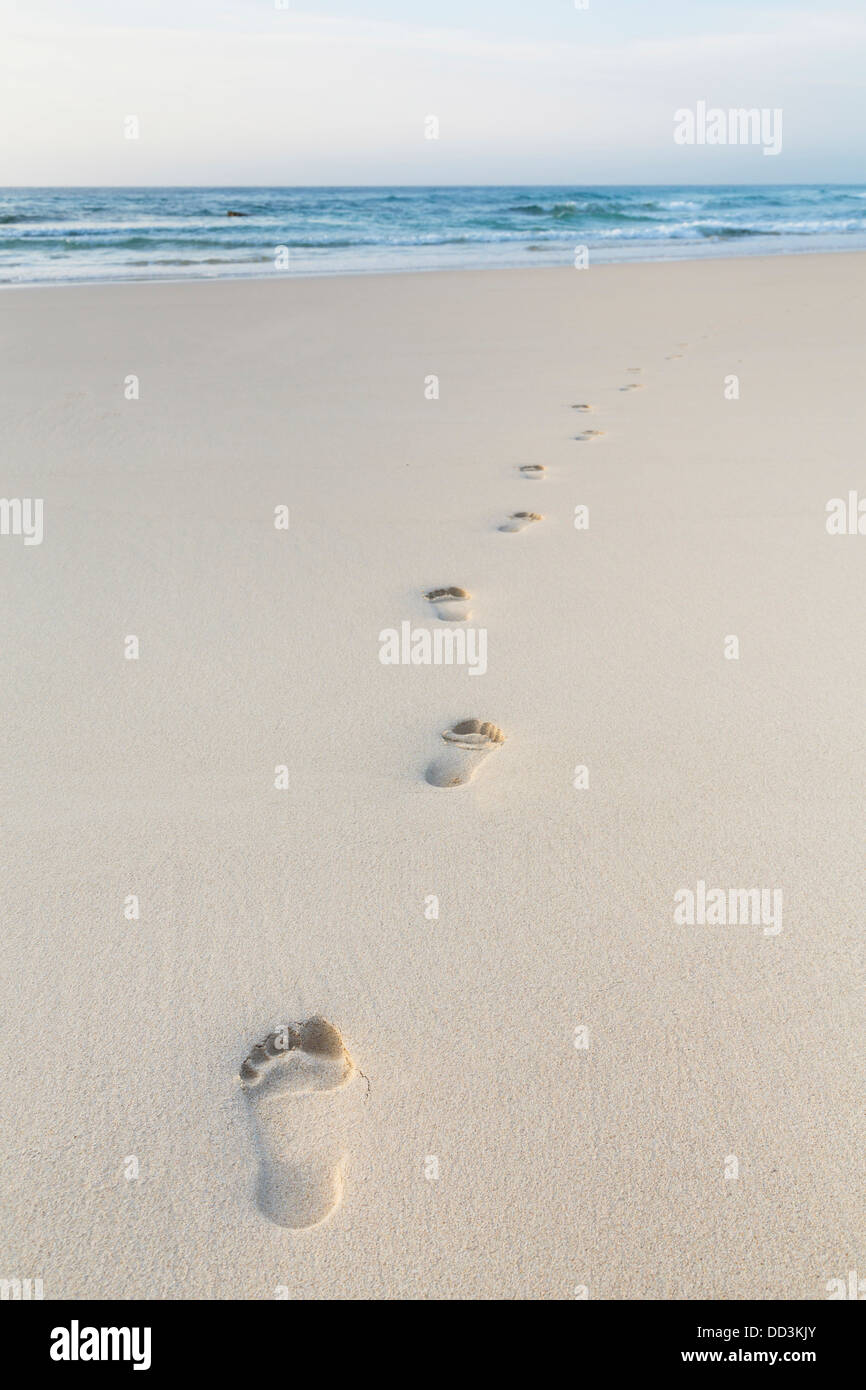 Footprints of person walking on beach sand Stock Photo - Alamy