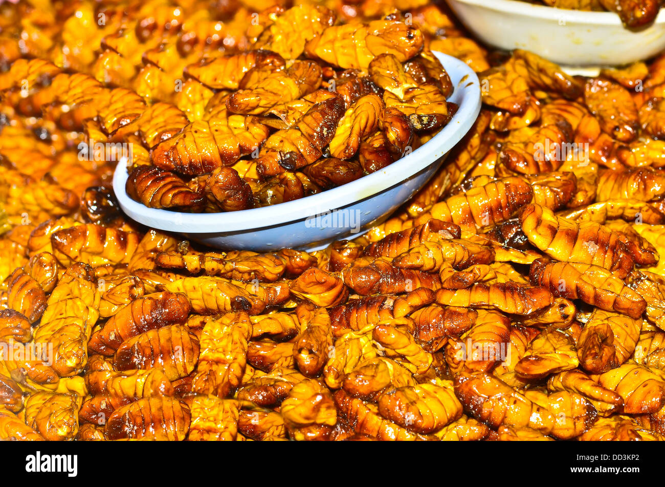 Fried silk worm Stock Photo