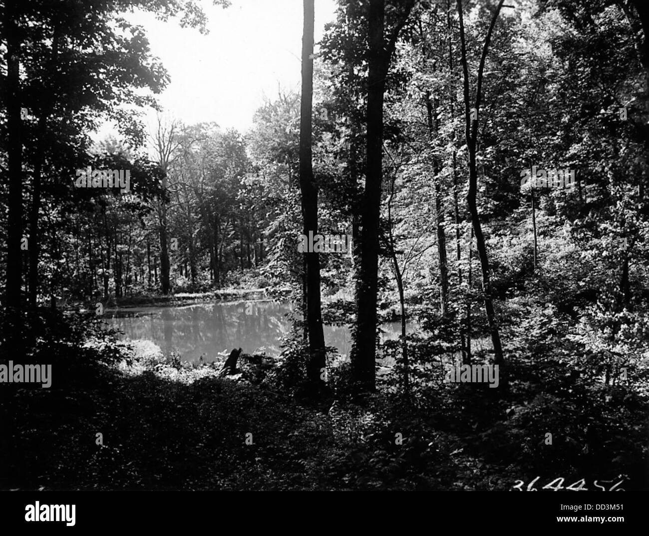Balance pond Black and White Stock Photos & Images - Alamy