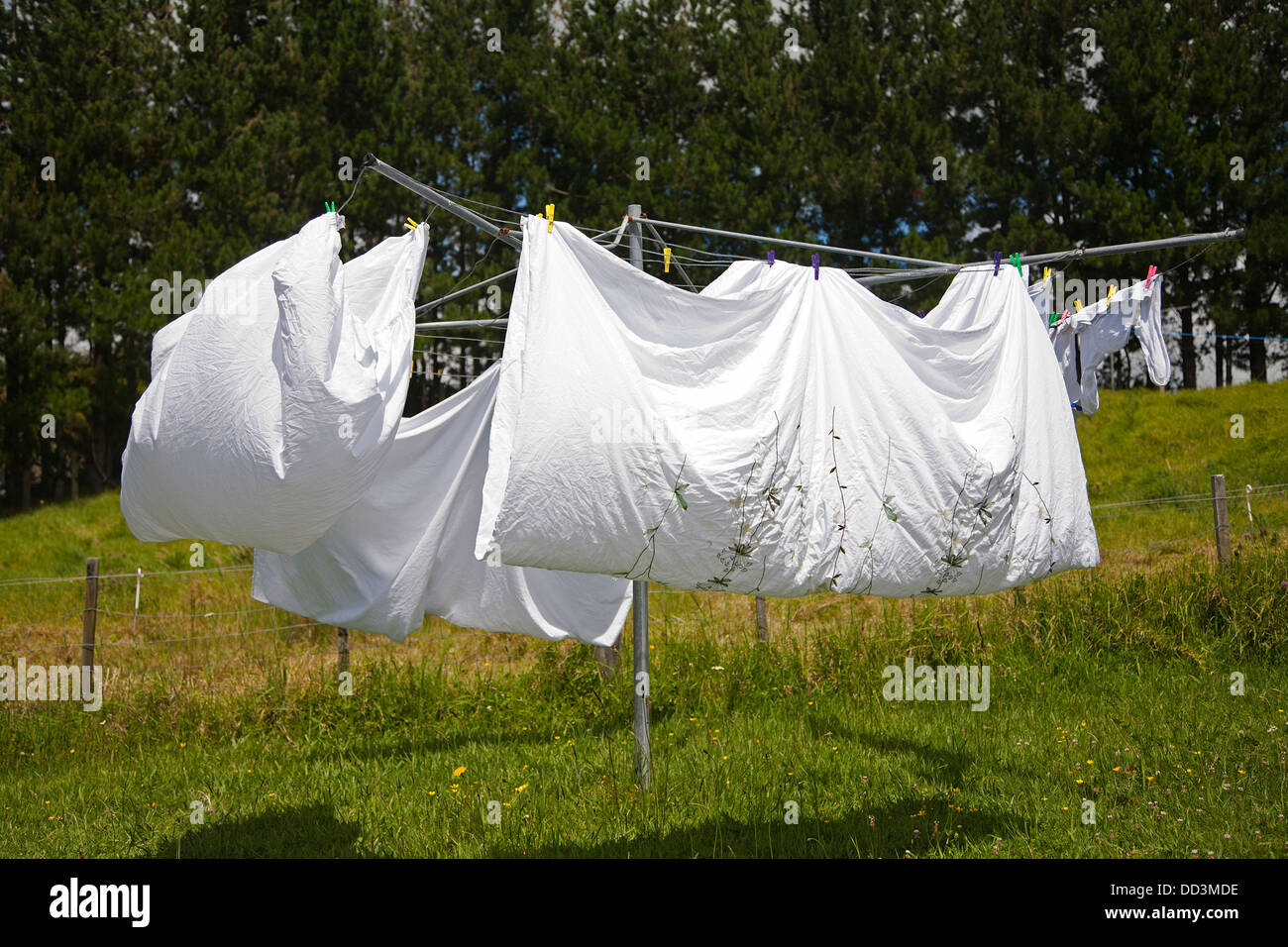Fold Up Hills Hoist Clothesline Cheapest Dealers Www pinnaxis