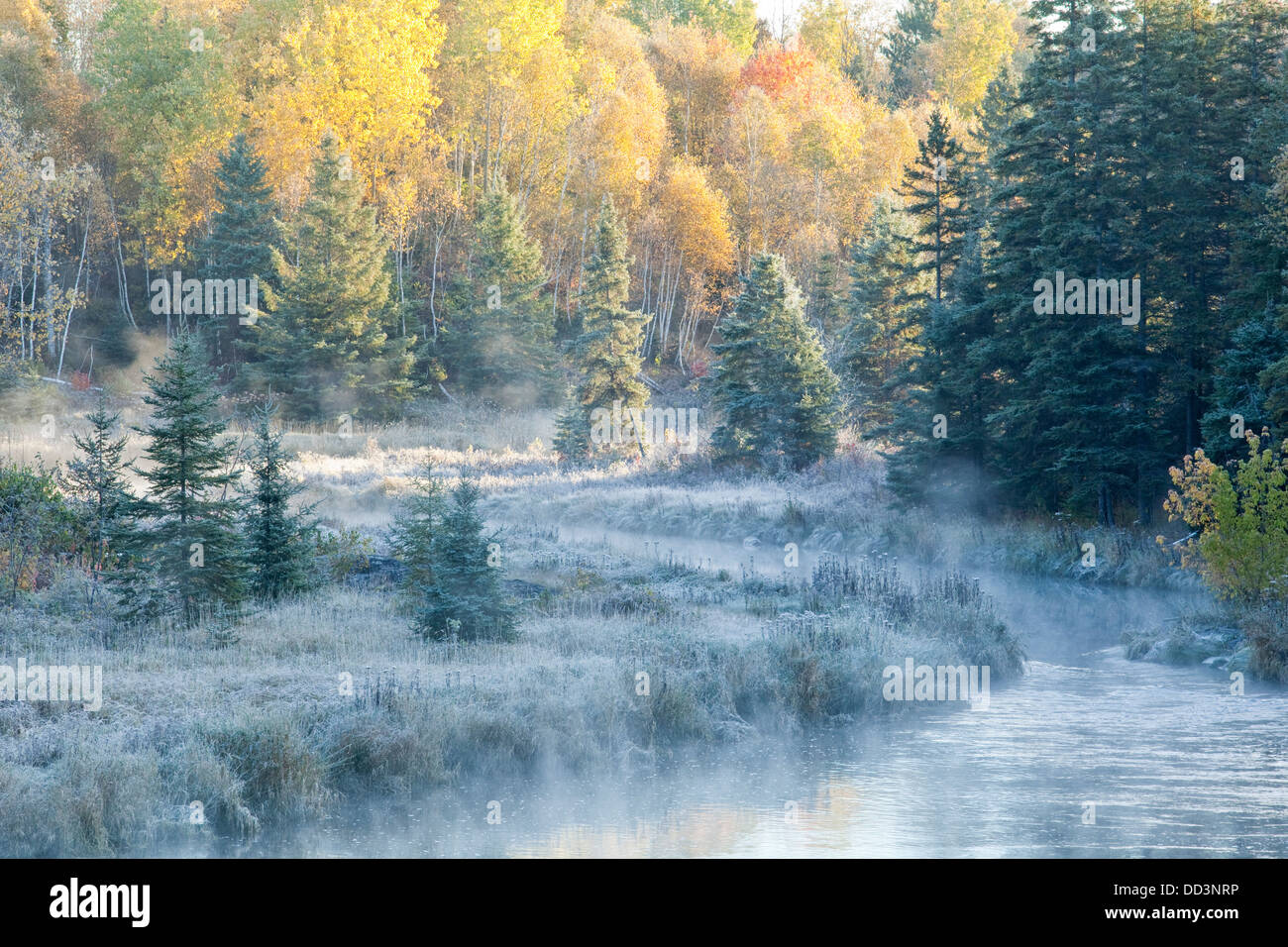 Frosty autumn morning along Junction Creek, Lively, City of Greater Sudbury, Ontario, Canada. Stock Photo