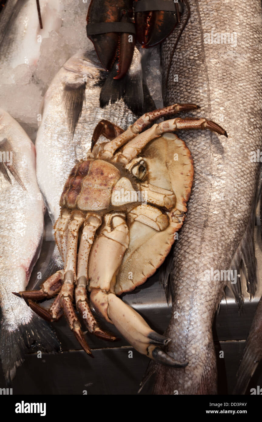 Upside down crab at the Malaga fish market Stock Photo