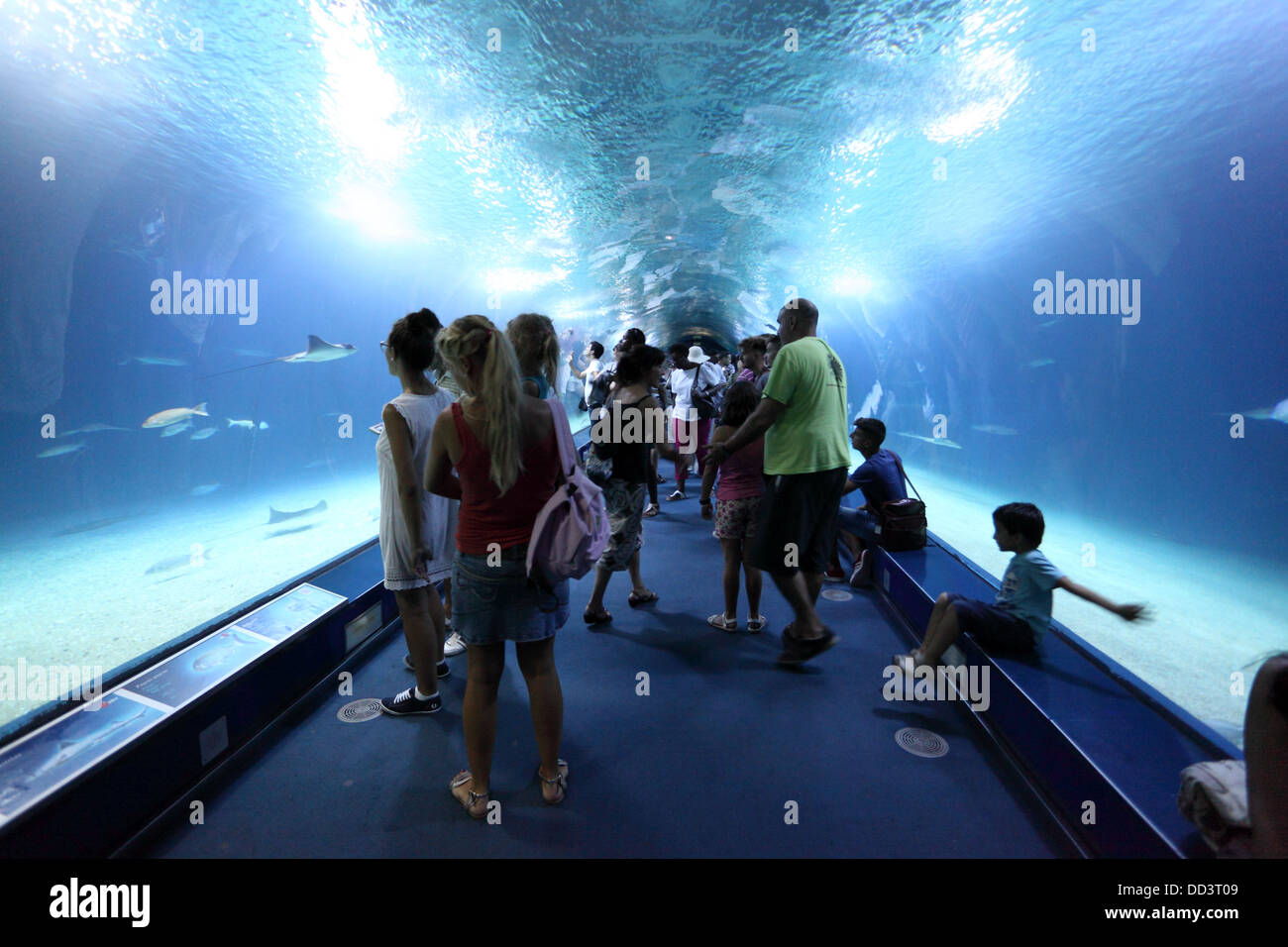 Visitors inside of the glass tunnel of L'Oceanografic aquarium in ...
