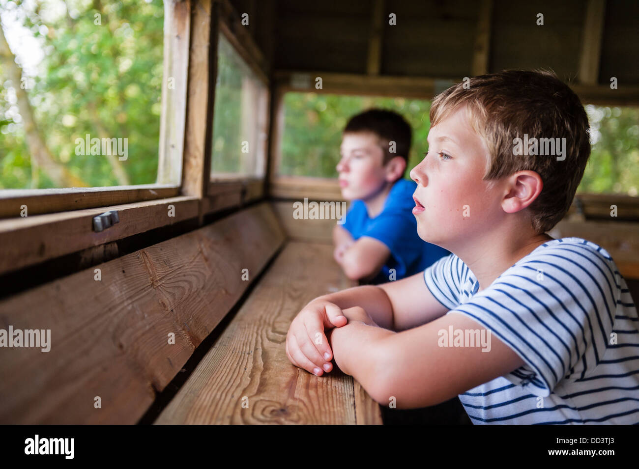 Two boys birdwatching in a hide at the Langford Lakes in Steeple Langford , Wiltshire , England , Britain , Uk Stock Photo
