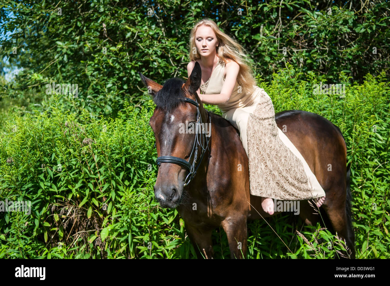 Young pretty girl on horseback in the forest Stock Photo