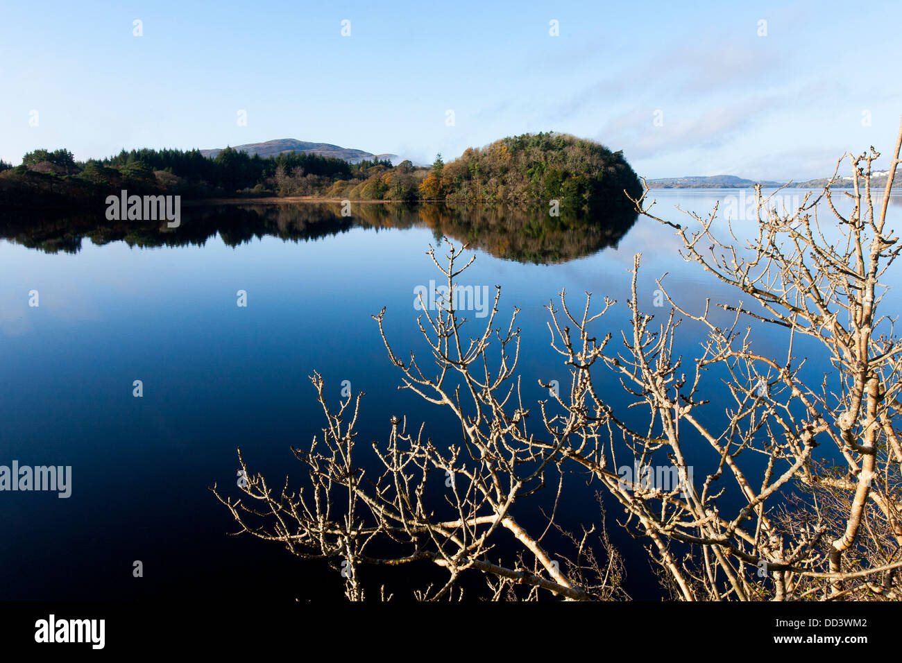 A reflection of trees in Lough Gill, made famous by W.B.Yeats poem, Innisfree in County Sligo, Northern Ireland Stock Photo