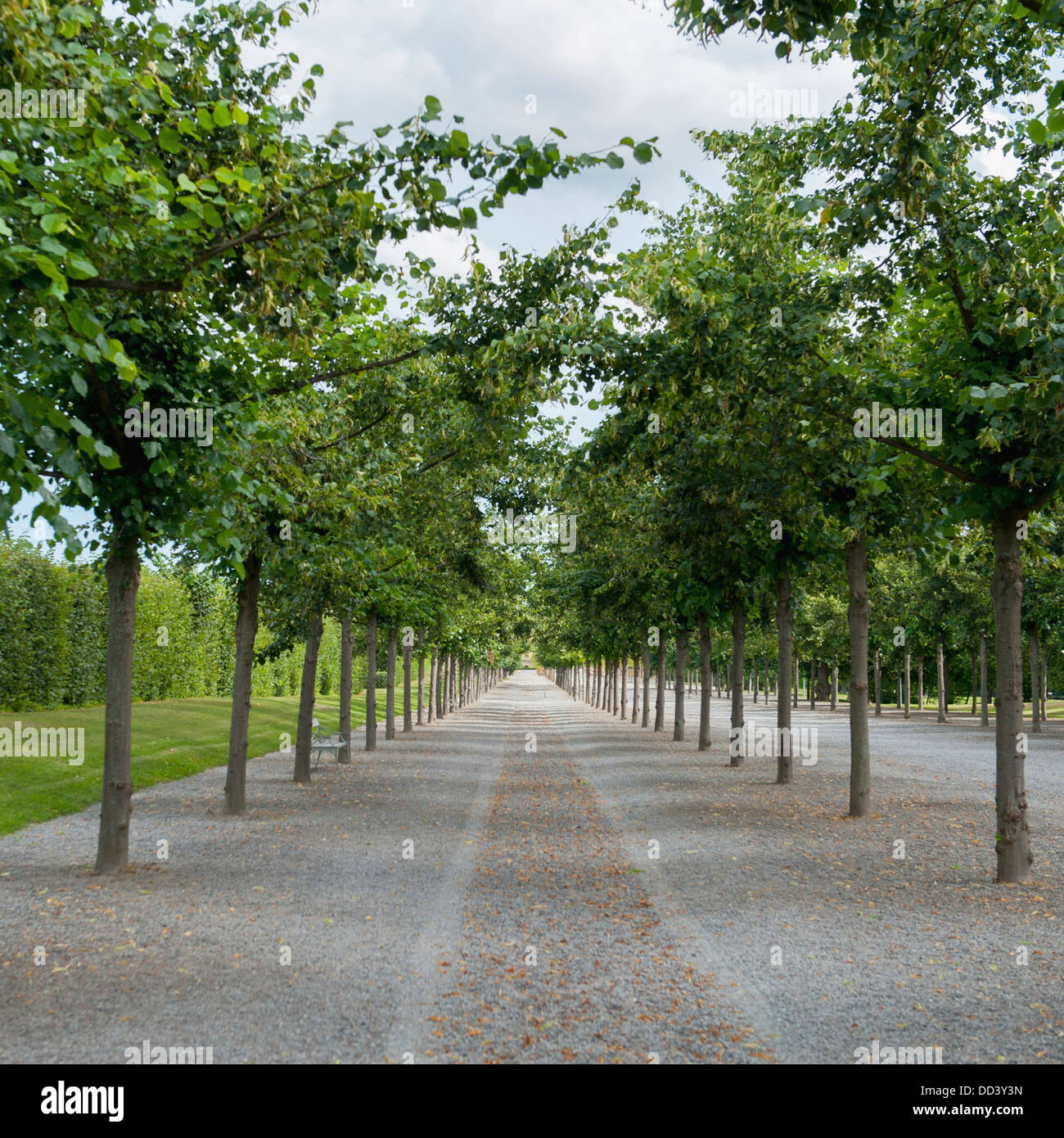 A Paved Path Lined With Trees In The Baroque Garden At Drottningholm ...